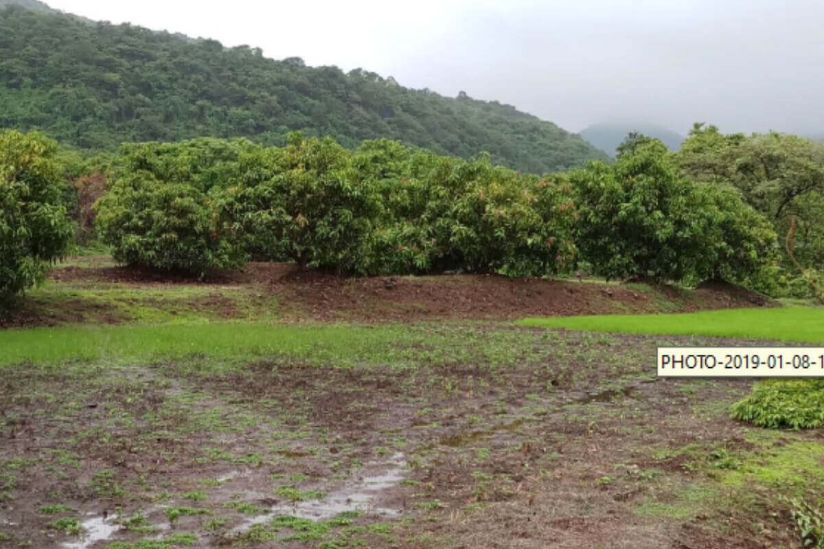 11.5-acres-land-for-sale-at-alibaug
