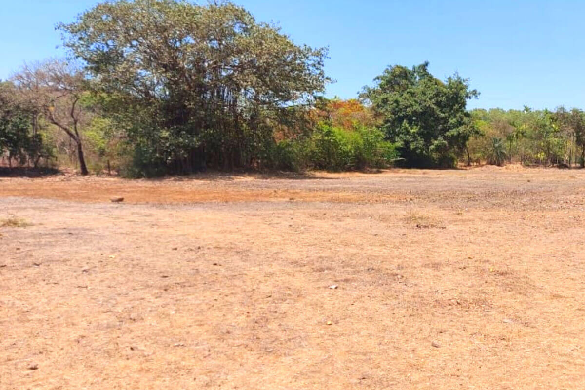 1.5-acre-for-sale-alibaug-residential-property