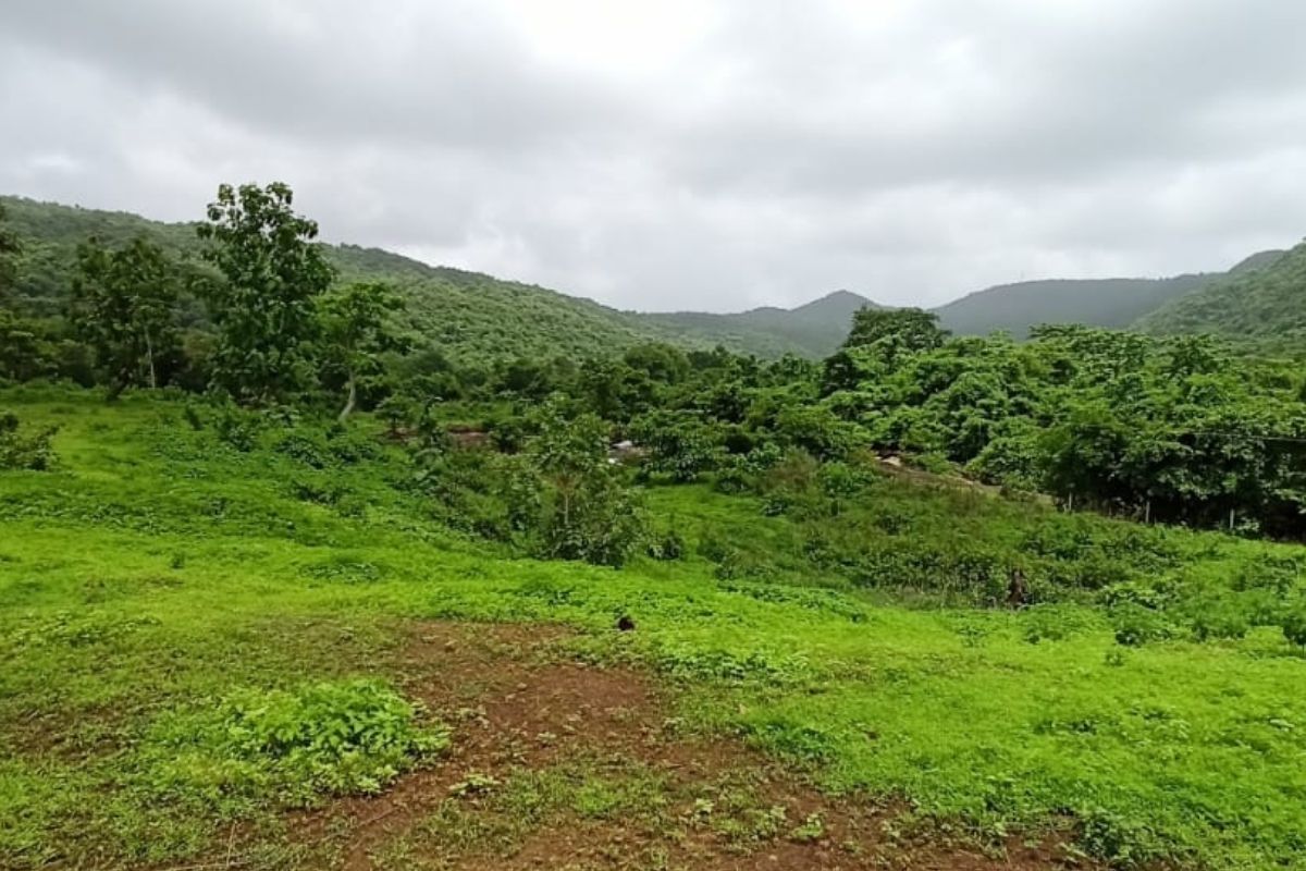 11-acre-land-for-sale-at-alibaug 