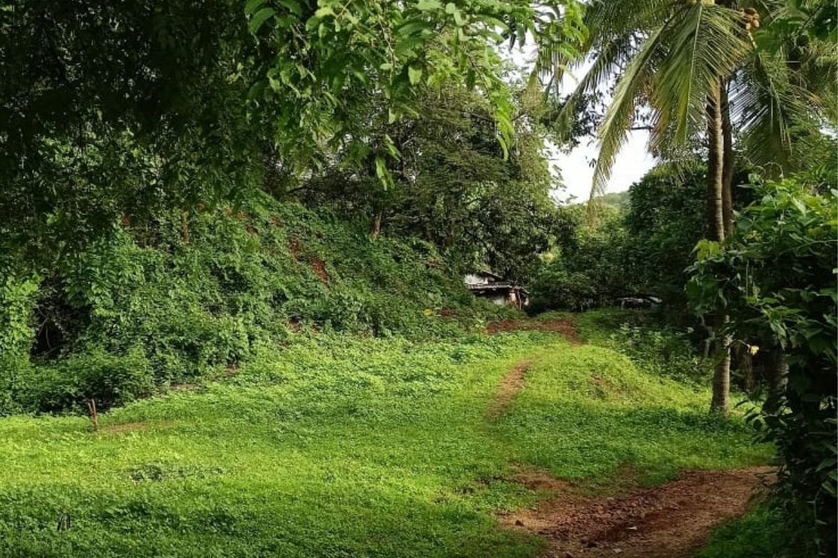 13.5-acre-land-for-sale-in-alibaug