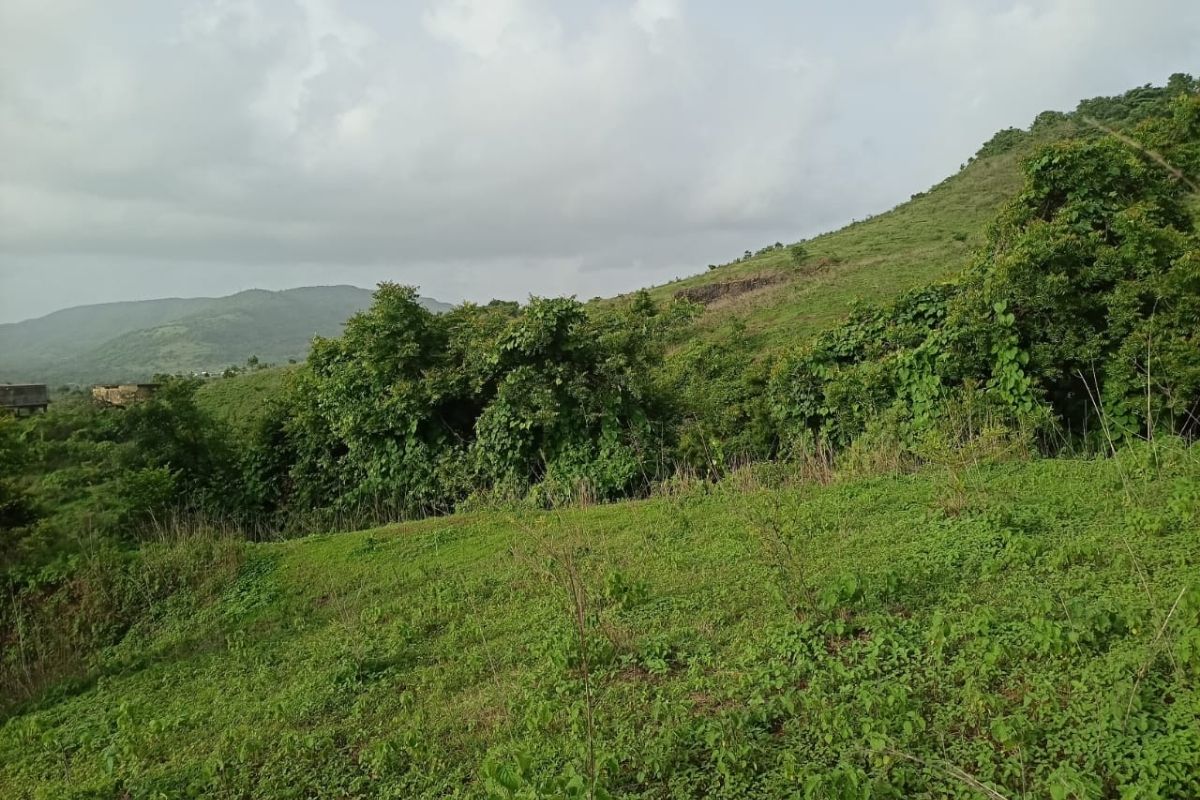 13.5-acre-plot-for-sale-at-munawali