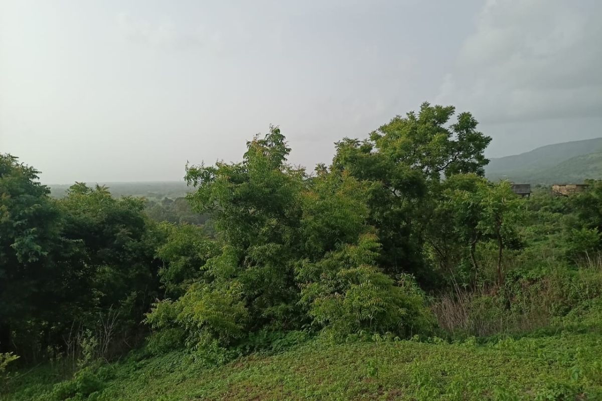 13.5-acre-plot-for-sale-at-munawali-alibaug