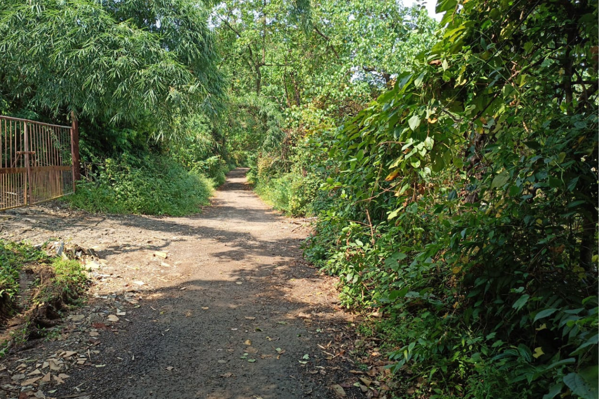 14-acre-plot-for-sale-in-alibaug