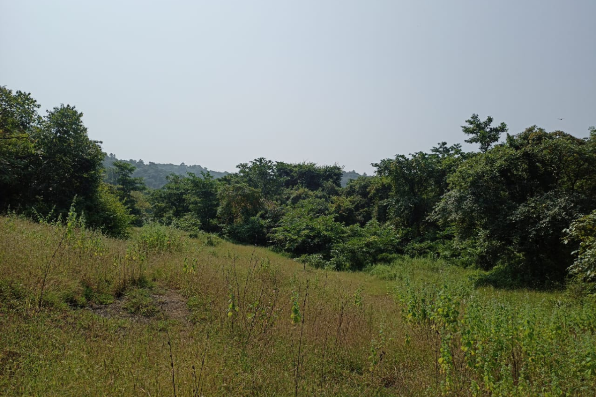 property-for-sale-in-alibaug-14-guntha