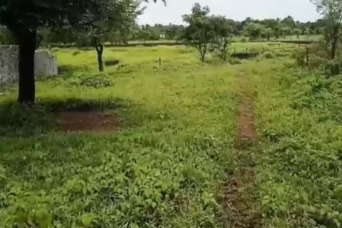 15-Guntha-agricultural-plot-for-sale