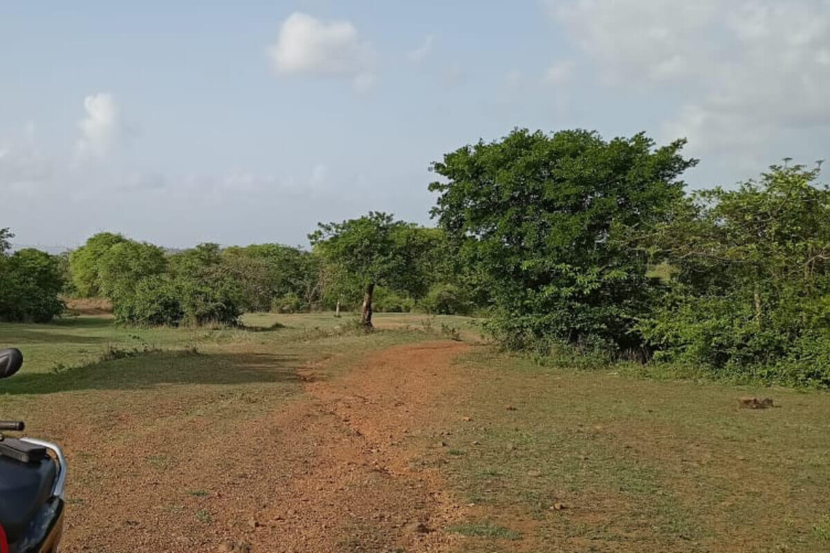 buy-17-acre-land-for-sale-in-alibaug
