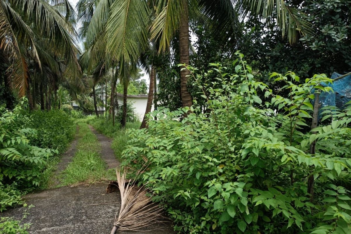 buy_2.5_acres_land_at_alibaug