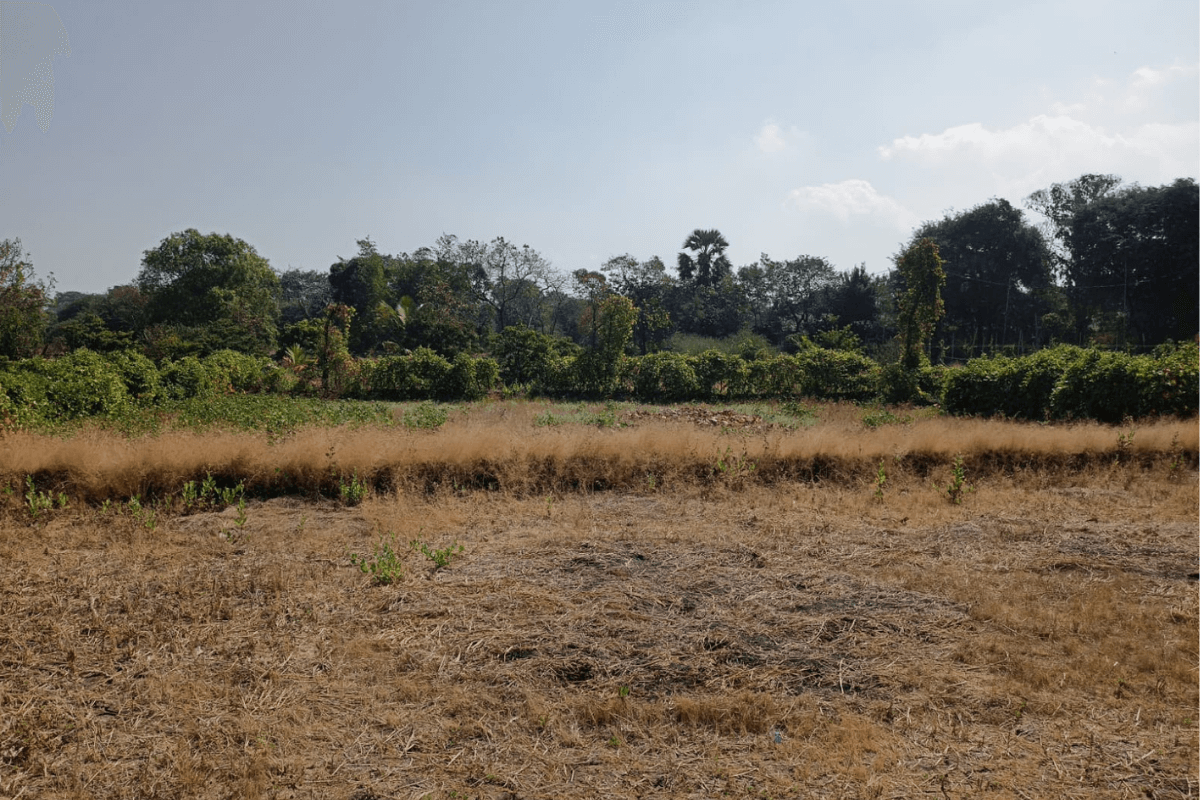 20-guntha-Plot-for-sale-at-navedar