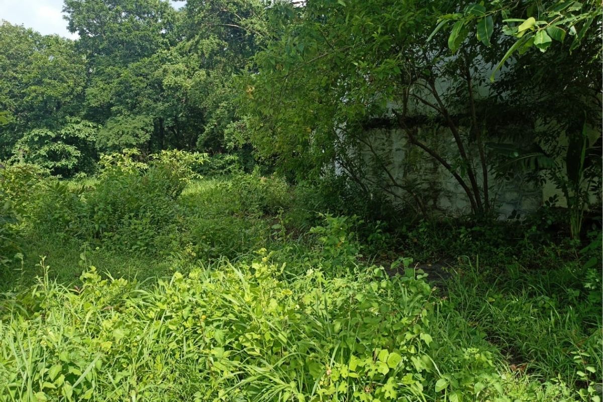 32_guntha_plot_for_sale_at_alibaug 