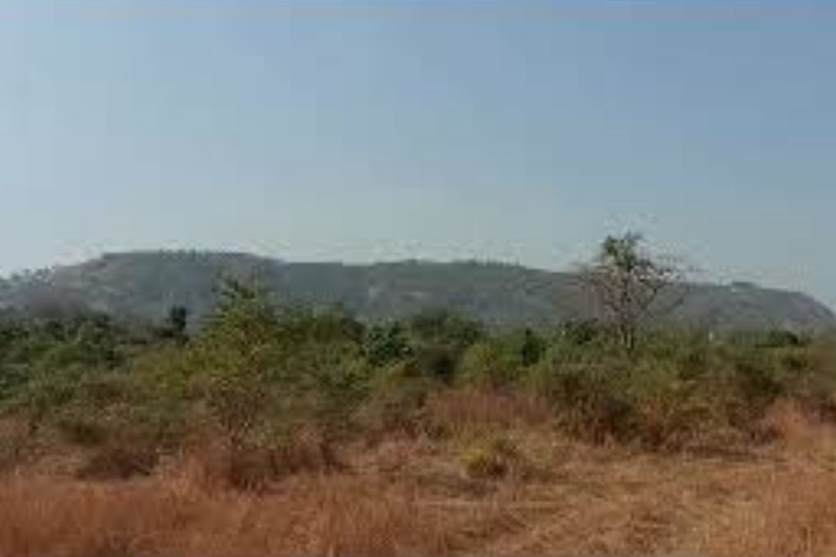 46-Acres-at-zhirad-for-sale 