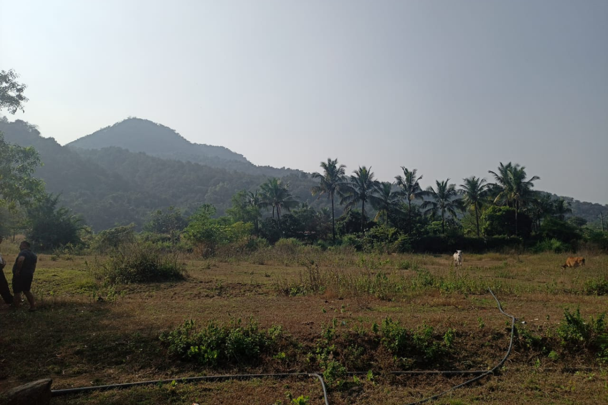 5-acre-land-for-sale-Parhurpada