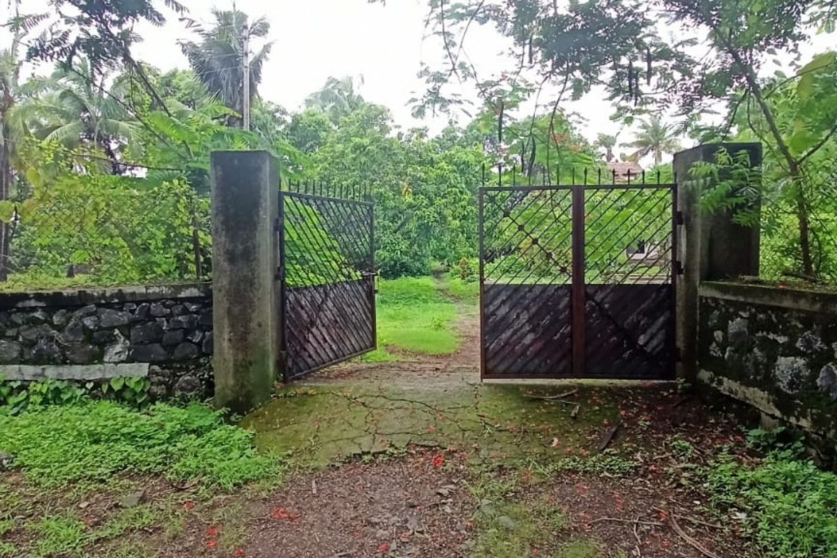 agricultural-land-for-sale-in-alibaug
