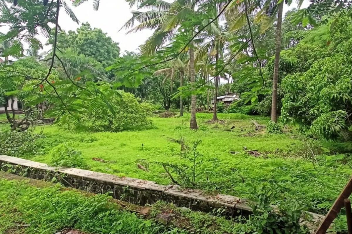 property-for-sale-in-alibaug