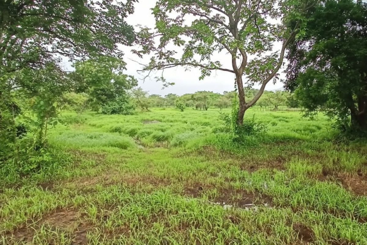 buy-property-in-alibaug-8-acre