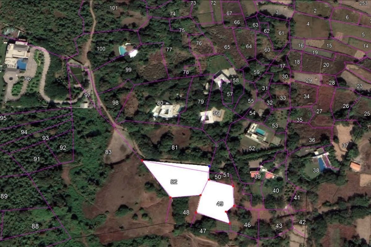 53-guntha-plot-satellite-view-property-details