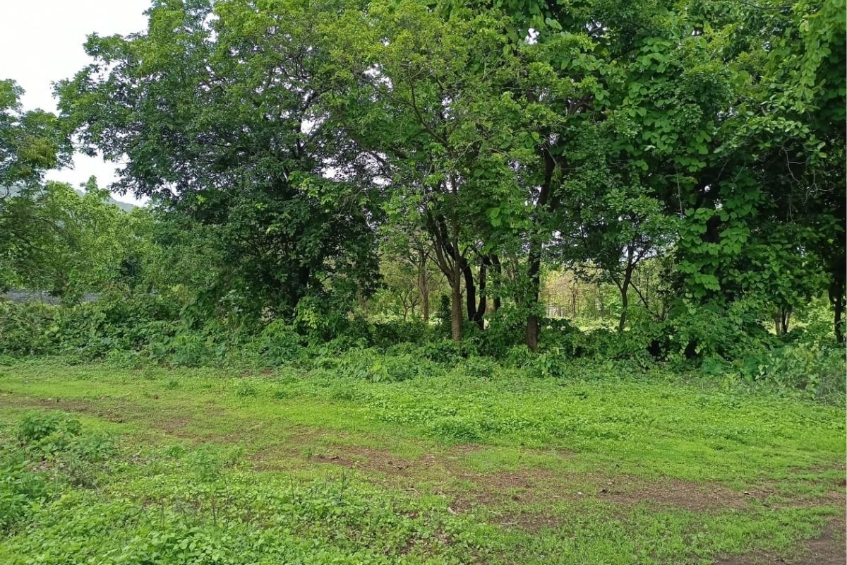 68-guntha-land-for-sale-at-alibaug