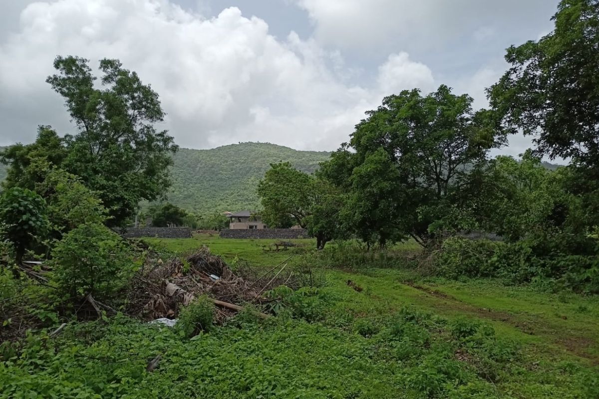 agricultural-land-in-alibaug-68-guntha