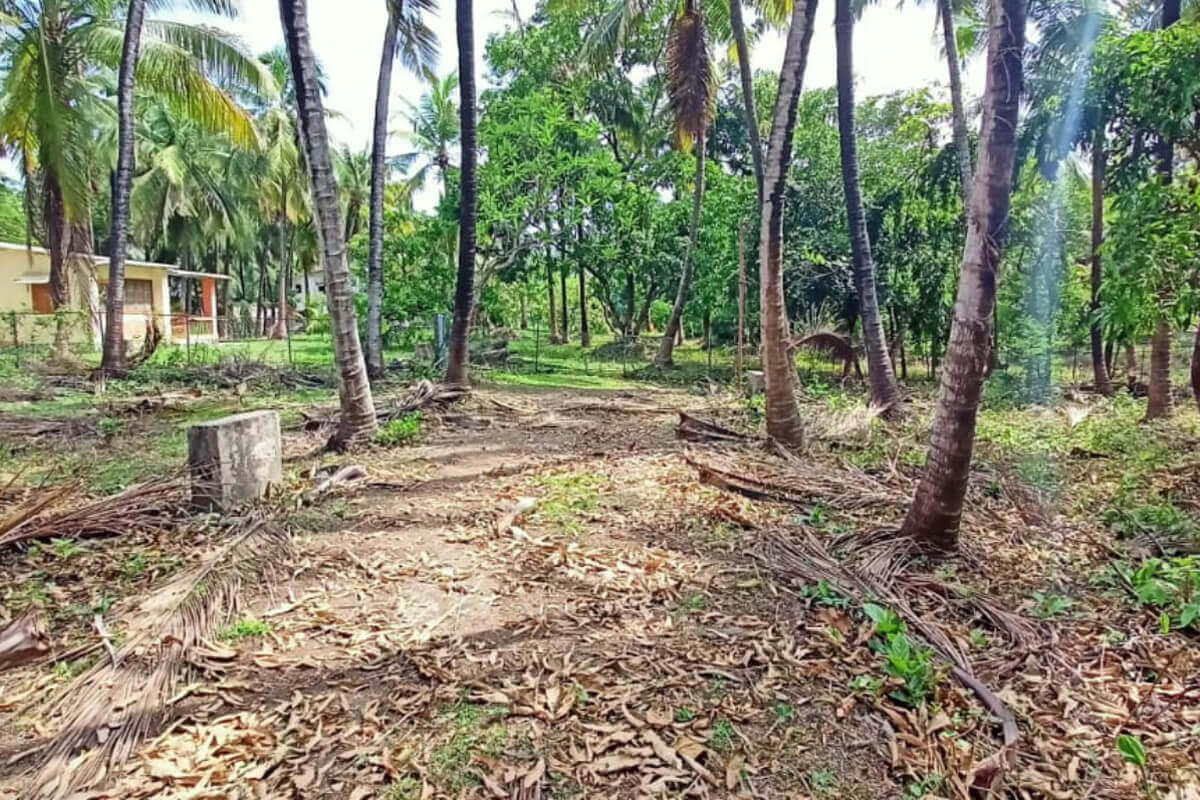 agricultural-land-for-sale-in-alibag-near-kihim-beach