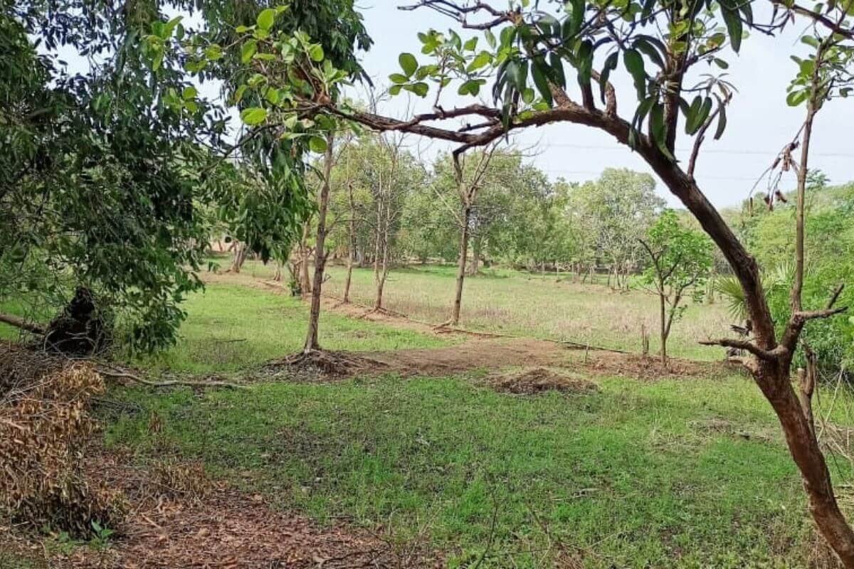 45-guntha-plot-for-sale-at-alibaug