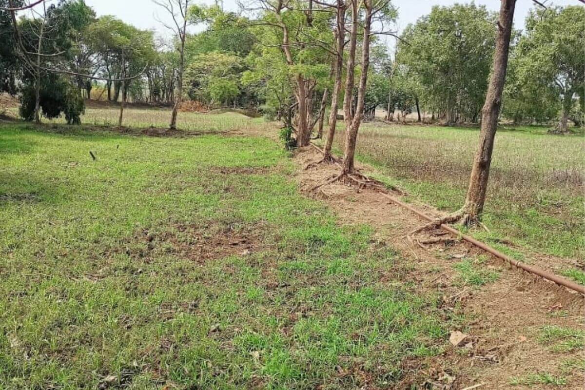 agricultural-plot-for-sale-at-alibaug