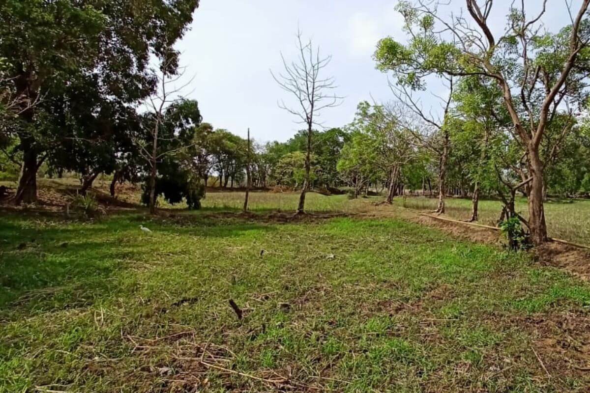 plot-for-sale-in-alibaug-kihim-45-guntha