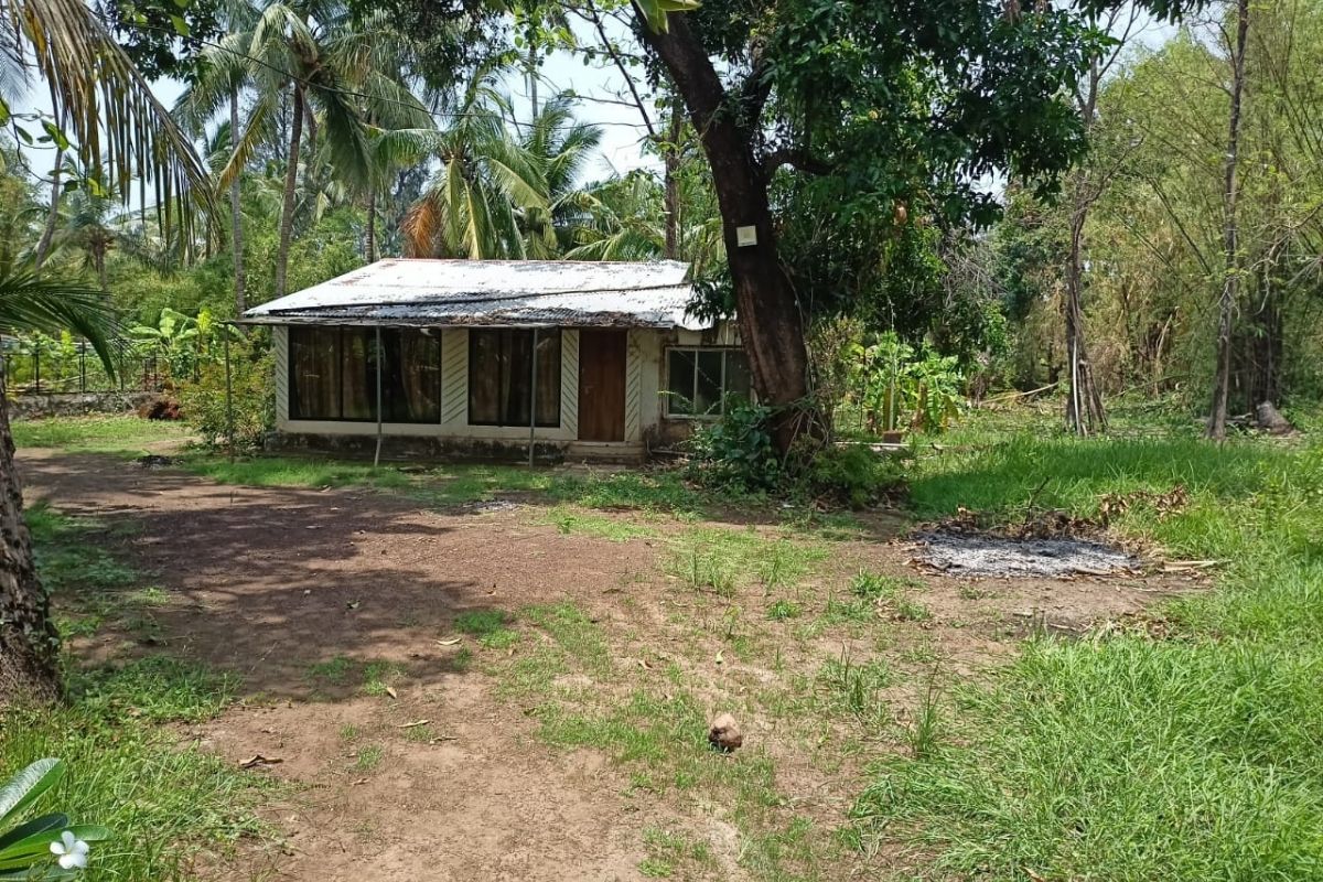 buy-5-Acre-plot-in-alibaug