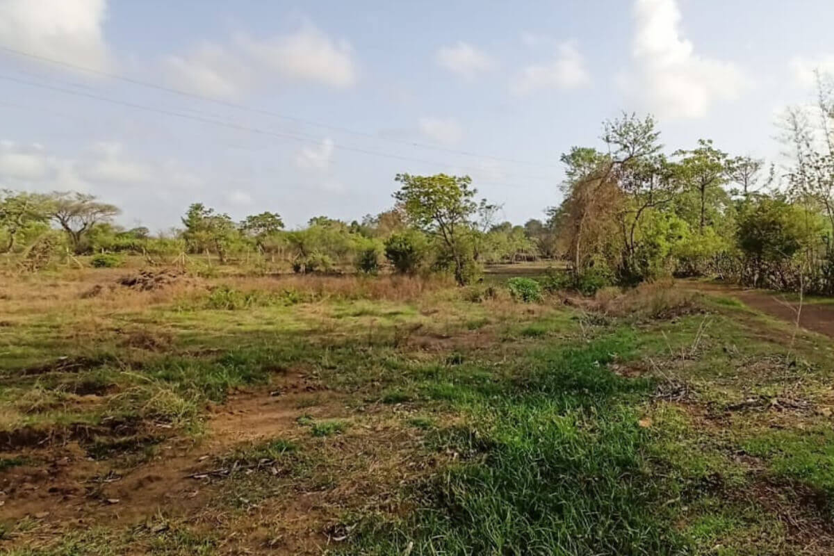 22-guntha-plot-at-alibaug-near-mandwa-jetty