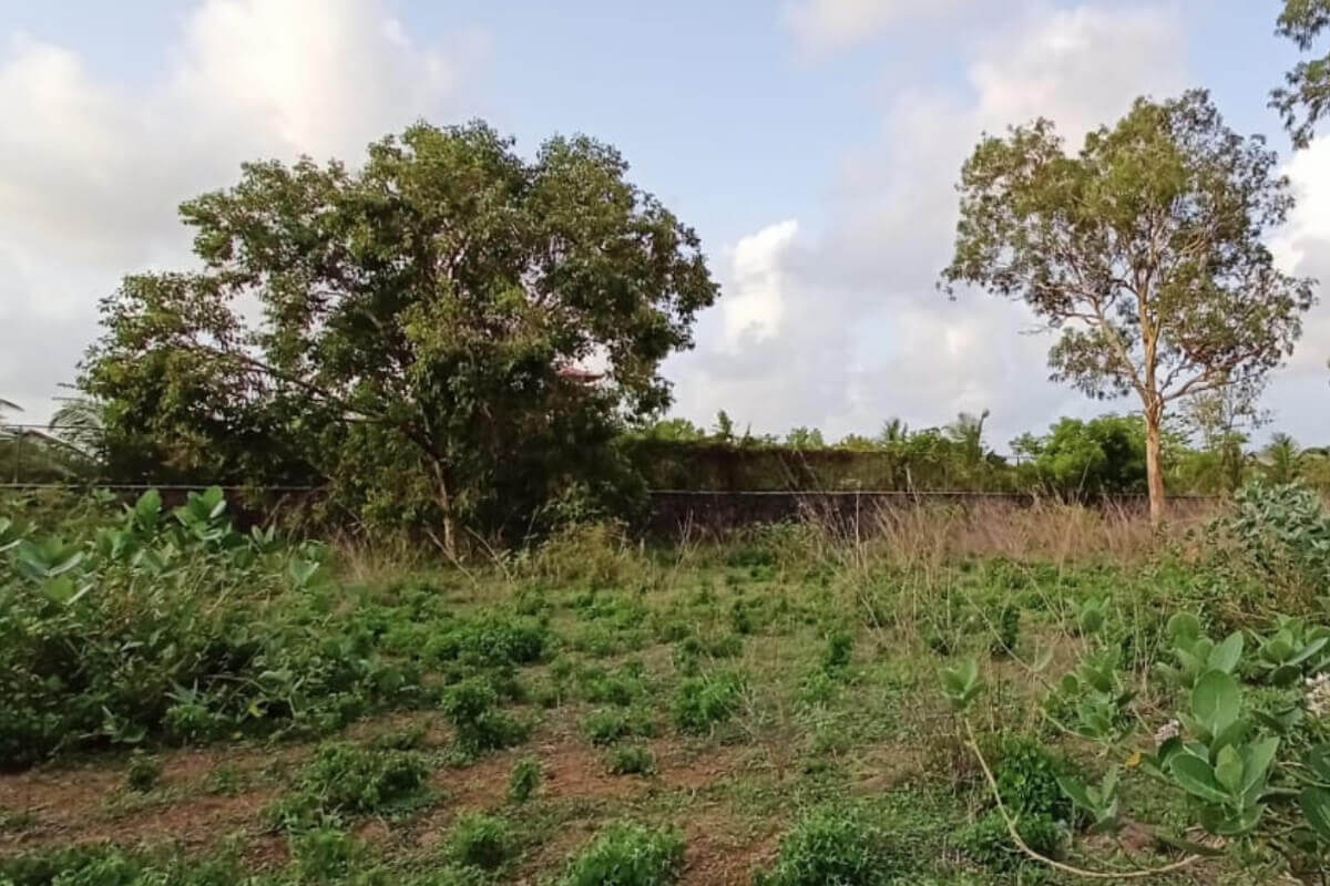 plot-for-sale-at-alibaug-agarsure