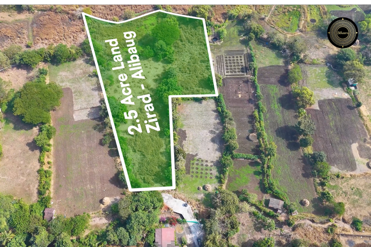 Land in Alibaug for Sale