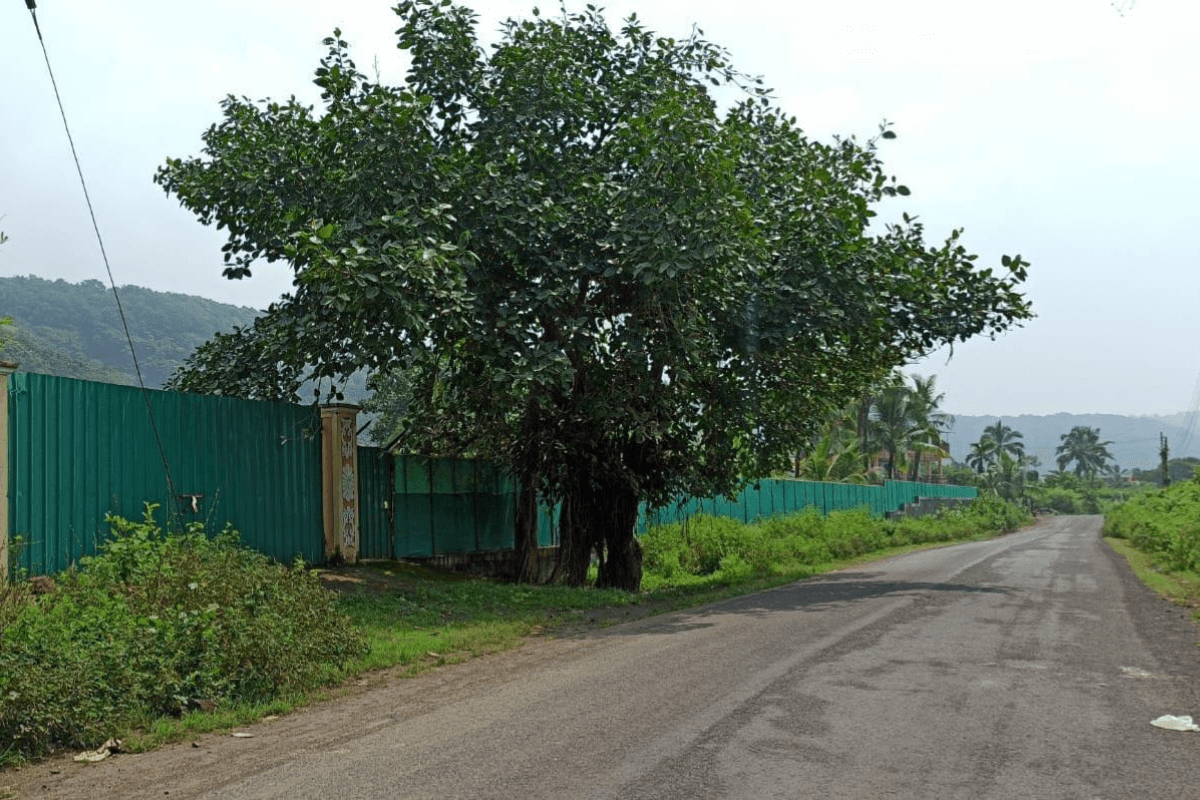 Road-touch-property-with-sea-view-3