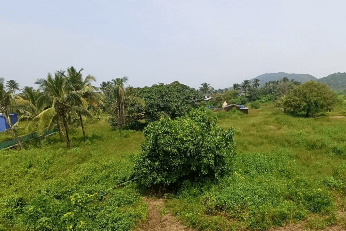 Road-touch-property-with-sea-view-8